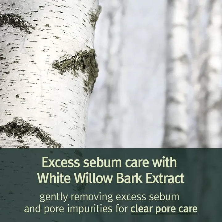 Espuma Limpiadora Calming Low pH Pyunkang Yul 150 ml - Iconika Beauty Shop